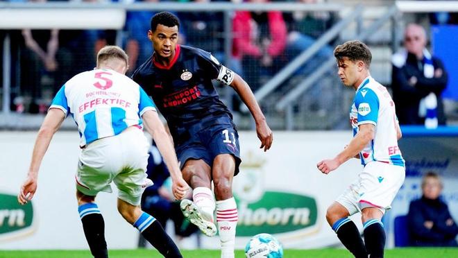 高水平的对 高水平的对