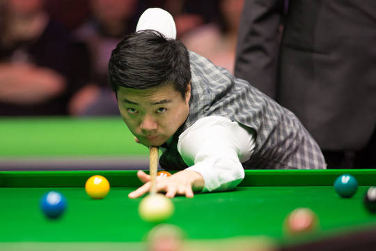 一颗新星 一颗新星